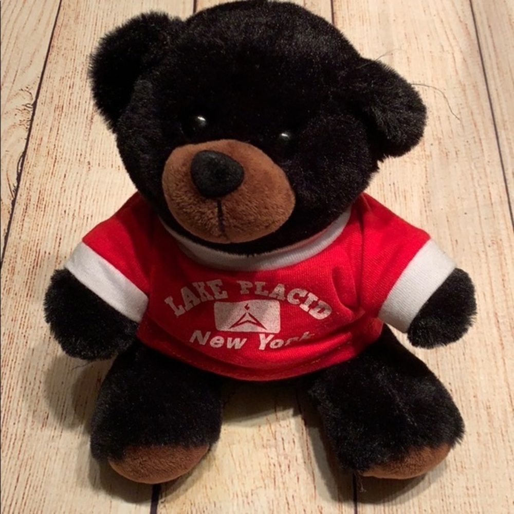 Lake Placid NY Teddy Bear Plush 🧸